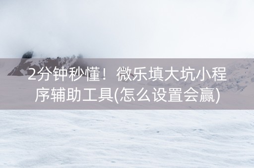 2分钟秒懂！微乐填大坑小程序辅助工具(怎么设置会赢)