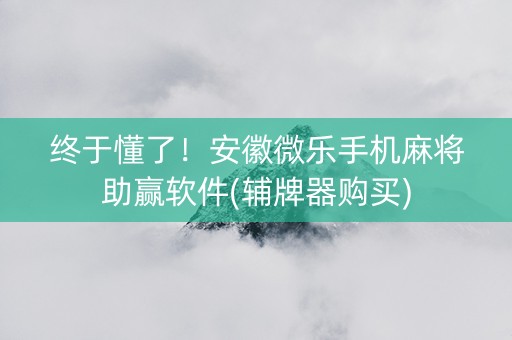 终于懂了！安徽微乐手机麻将助赢软件(辅牌器购买)