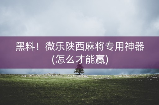 黑料！微乐陕西麻将专用神器(怎么才能赢)