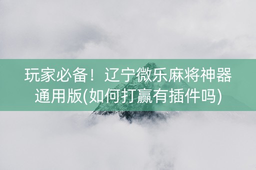 玩家必备！辽宁微乐麻将神器通用版(如何打赢有插件吗)