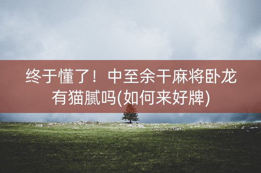 终于懂了！中至余干麻将卧龙有猫腻吗(如何来好牌)