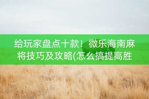 给玩家盘点十款！微乐海南麻将技巧及攻略(怎么搞提高胜率)