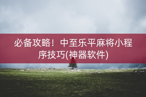 必备攻略！中至乐平麻将小程序技巧(神器软件)