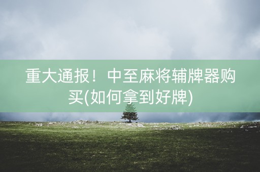 重大通报！中至麻将辅牌器购买(如何拿到好牌)