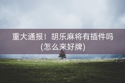 重大通报！胡乐麻将有插件吗(怎么来好牌)