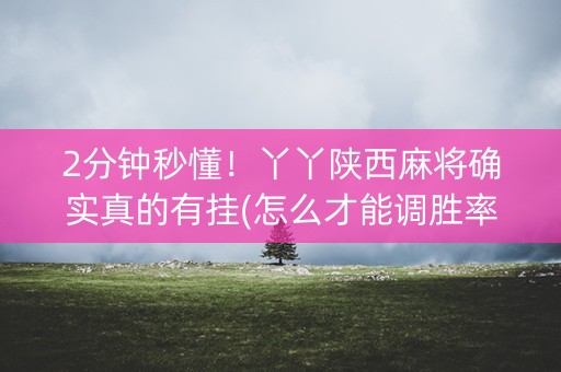 2分钟秒懂！丫丫陕西麻将确实真的有挂(怎么才能调胜率)
