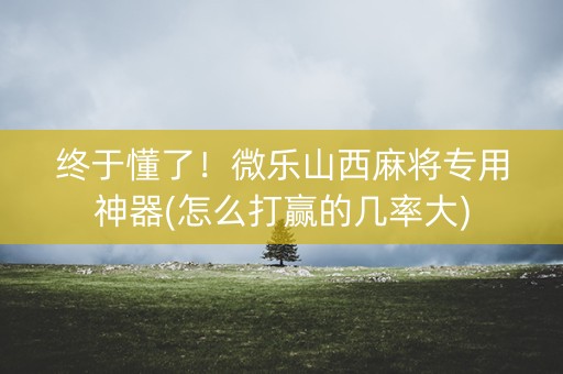 终于懂了！微乐山西麻将专用神器(怎么打赢的几率大)