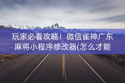 玩家必看攻略！微信雀神广东麻将小程序修改器(怎么才能赢得多)