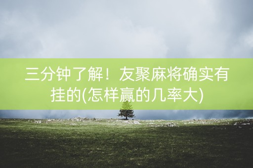 三分钟了解！友聚麻将确实有挂的(怎样赢的几率大)