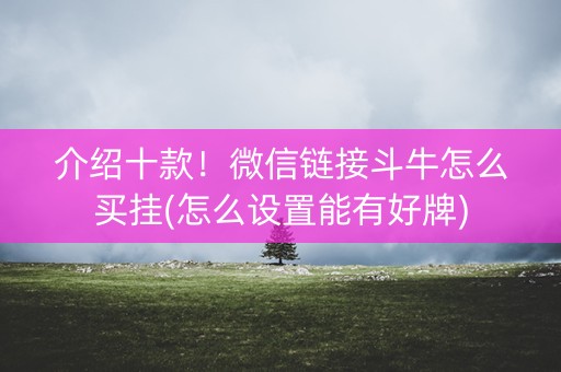 介绍十款！微信链接斗牛怎么买挂(怎么设置能有好牌)