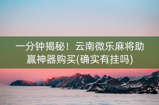 一分钟揭秘！云南微乐麻将助赢神器购买(确实有挂吗)