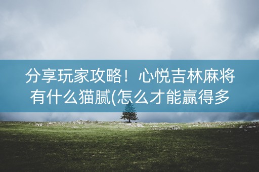 分享玩家攻略！心悦吉林麻将有什么猫腻(怎么才能赢得多)