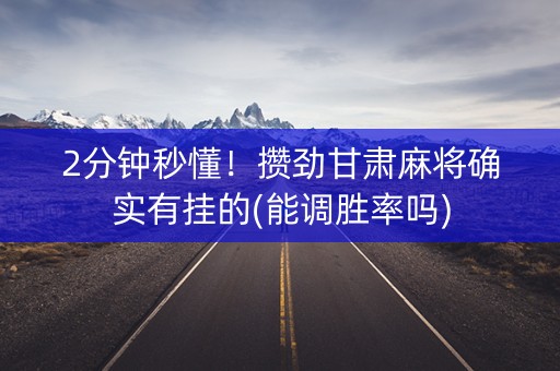 2分钟秒懂！攒劲甘肃麻将确实有挂的(能调胜率吗)