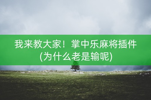 我来教大家！掌中乐麻将插件(为什么老是输呢)