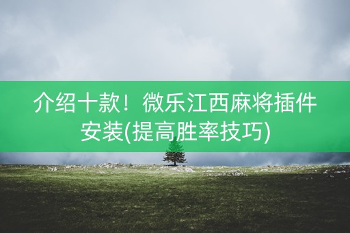 介绍十款！微乐江西麻将插件安装(提高胜率技巧)