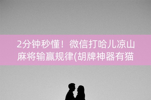 2分钟秒懂！微信打哈儿凉山麻将输赢规律(胡牌神器有猫腻吗)