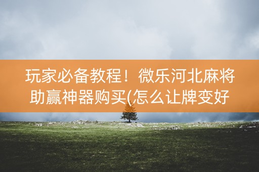 玩家必备教程！微乐河北麻将助赢神器购买(怎么让牌变好)