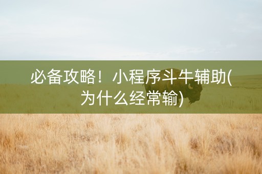 必备攻略！小程序斗牛辅助(为什么经常输)