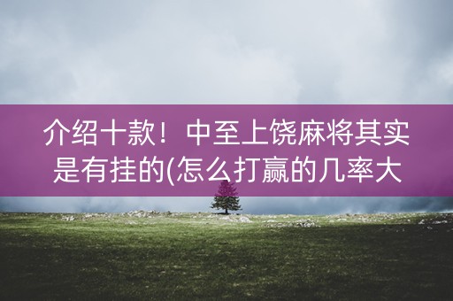 介绍十款！中至上饶麻将其实是有挂的(怎么打赢的几率大)