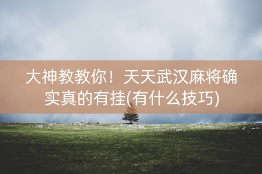 大神教教你！天天武汉麻将确实真的有挂(有什么技巧)