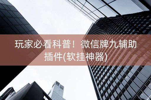 玩家必看科普！微信牌九辅助插件(软挂神器)