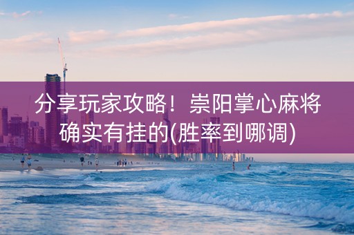 分享玩家攻略！崇阳掌心麻将确实有挂的(胜率到哪调)