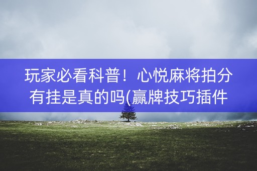 玩家必看科普！心悦麻将拍分有挂是真的吗(赢牌技巧插件安装)