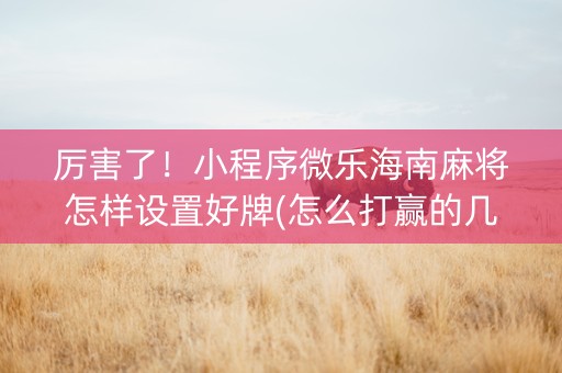 厉害了！小程序微乐海南麻将怎样设置好牌(怎么打赢的几率大)