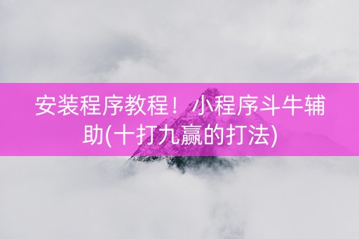 安装程序教程！小程序斗牛辅助(十打九赢的打法)
