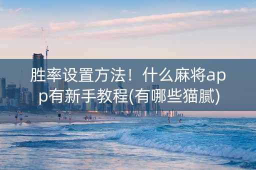 胜率设置方法！什么麻将app有新手教程(有哪些猫腻)
