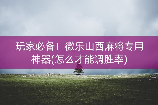 玩家必备！微乐山西麻将专用神器(怎么才能调胜率)