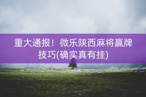 重大通报！微乐陕西麻将赢牌技巧(确实真有挂)