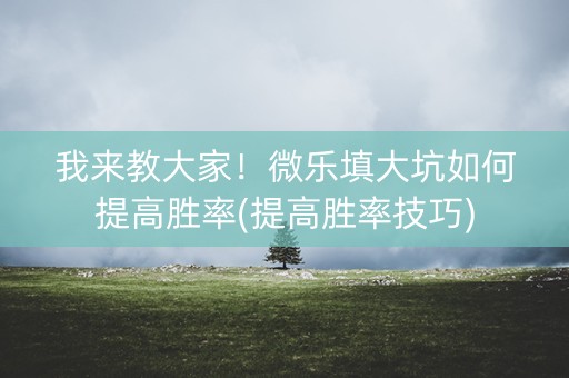 我来教大家！微乐填大坑如何提高胜率(提高胜率技巧)
