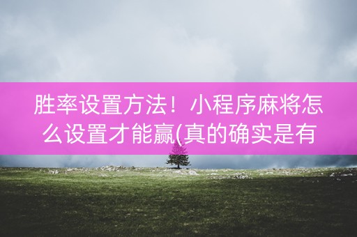 胜率设置方法！小程序麻将怎么设置才能赢(真的确实是有挂)