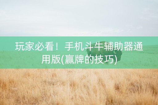 玩家必看！手机斗牛辅助器通用版(赢牌的技巧)