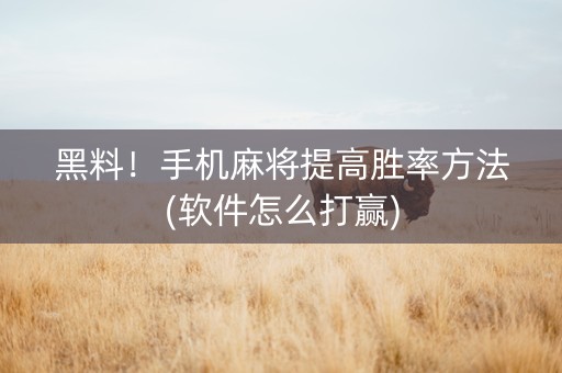黑料！手机麻将提高胜率方法(软件怎么打赢)