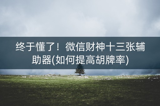 终于懂了！微信财神十三张辅助器(如何提高胡牌率)