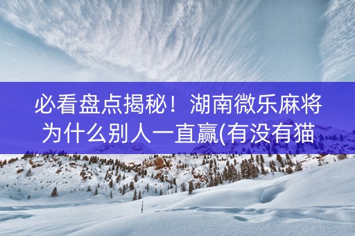 必看盘点揭秘！湖南微乐麻将为什么别人一直赢(有没有猫腻)