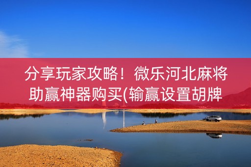 分享玩家攻略！微乐河北麻将助赢神器购买(输赢设置胡牌规律)