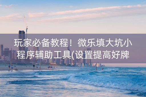 玩家必备教程！微乐填大坑小程序辅助工具(设置提高好牌几率)