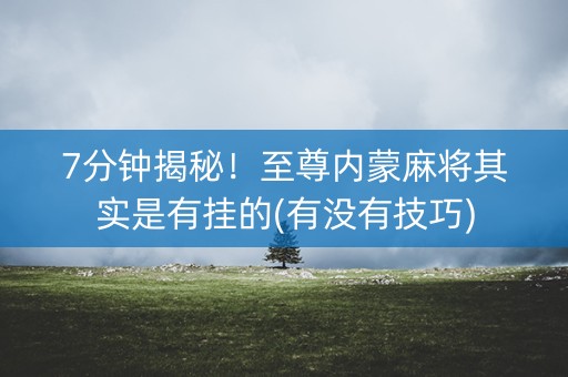 7分钟揭秘！至尊内蒙麻将其实是有挂的(有没有技巧)