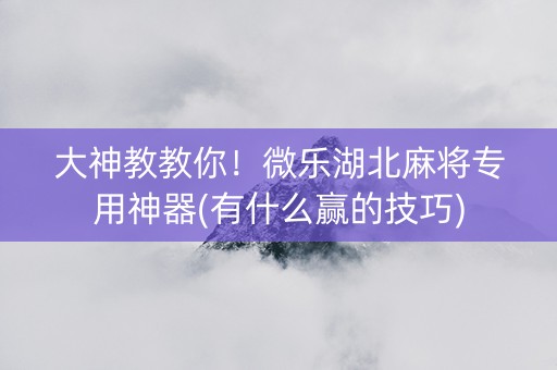 大神教教你！微乐湖北麻将专用神器(有什么赢的技巧)