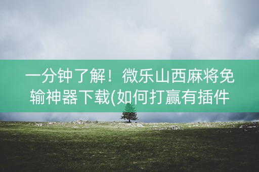 一分钟了解！微乐山西麻将免输神器下载(如何打赢有插件吗)