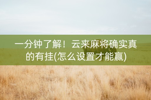 一分钟了解！云来麻将确实真的有挂(怎么设置才能赢)