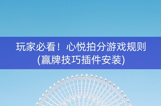 玩家必看！心悦拍分游戏规则(赢牌技巧插件安装)