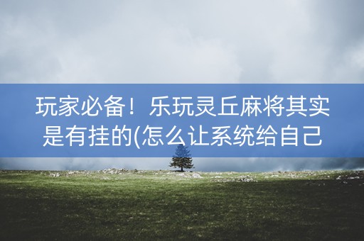 玩家必备！乐玩灵丘麻将其实是有挂的(怎么让系统给自己好牌)