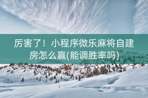 厉害了！小程序微乐麻将自建房怎么赢(能调胜率吗)