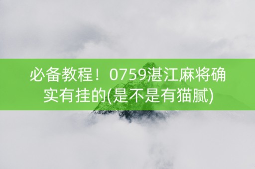 必备教程！0759湛江麻将确实有挂的(是不是有猫腻)