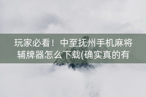 玩家必看！中至抚州手机麻将辅牌器怎么下载(确实真的有挂)
