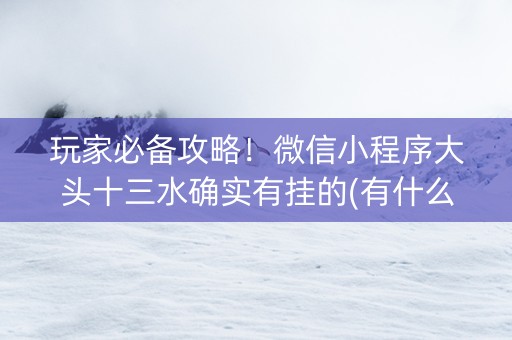 玩家必备攻略！微信小程序大头十三水确实有挂的(有什么规律)